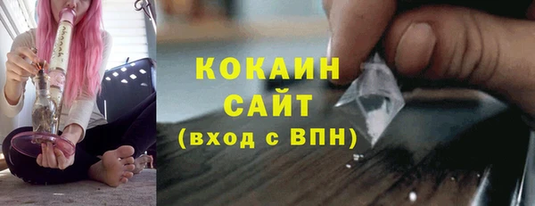 mix Богородицк